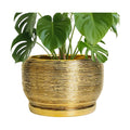SQOWL Ceramic Planter for Indoor Plants - 10 Inch Plant Pot with Drainage Hole and Saucer, Modern Round Planter