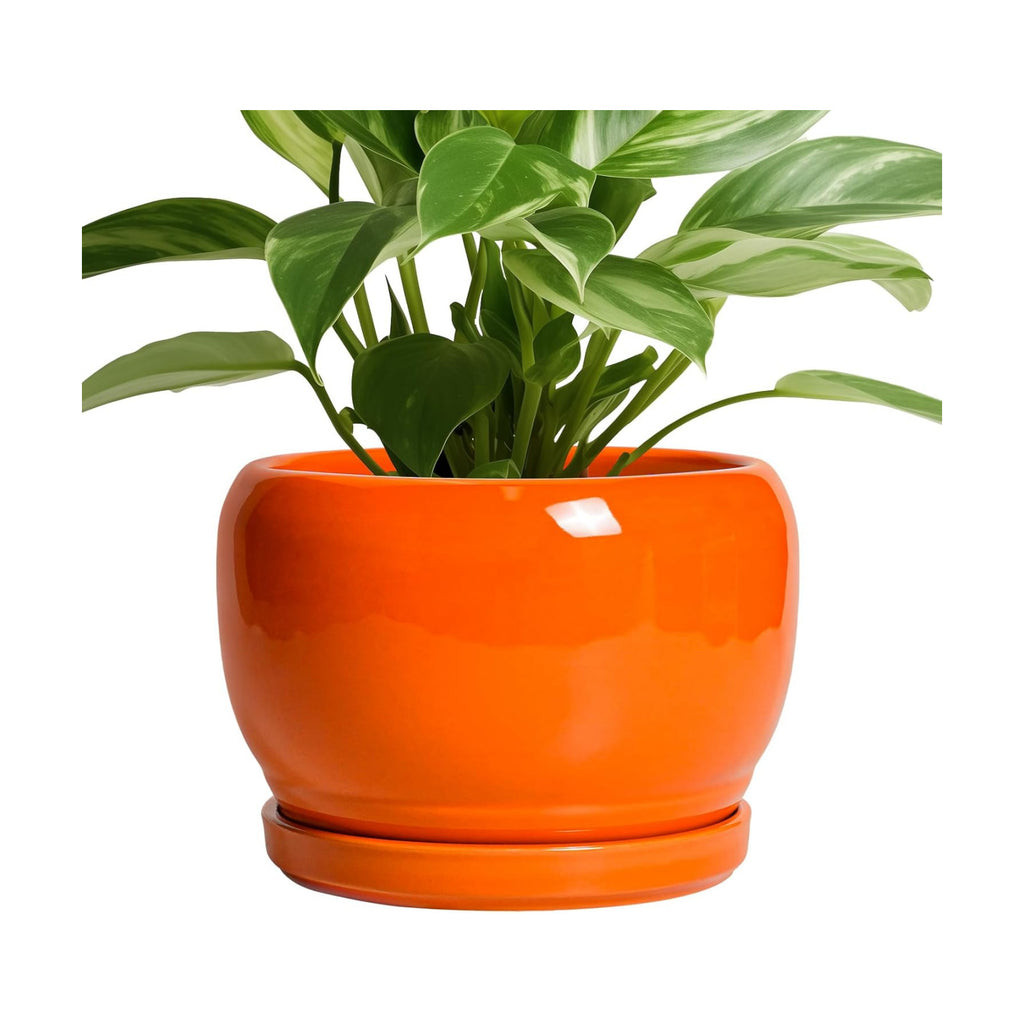 SQOWL Ceramic Pot for Plants - 8 Inch Plant Pot Indoor Outdoor, Modern Round Planter with Drainage Hole and Saucer