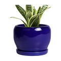 SQOWL Ceramic Planters for Indoor Plants - 6 Inch Plant Pot with Drainage Hole and Saucer, Round Small Planter, Modern