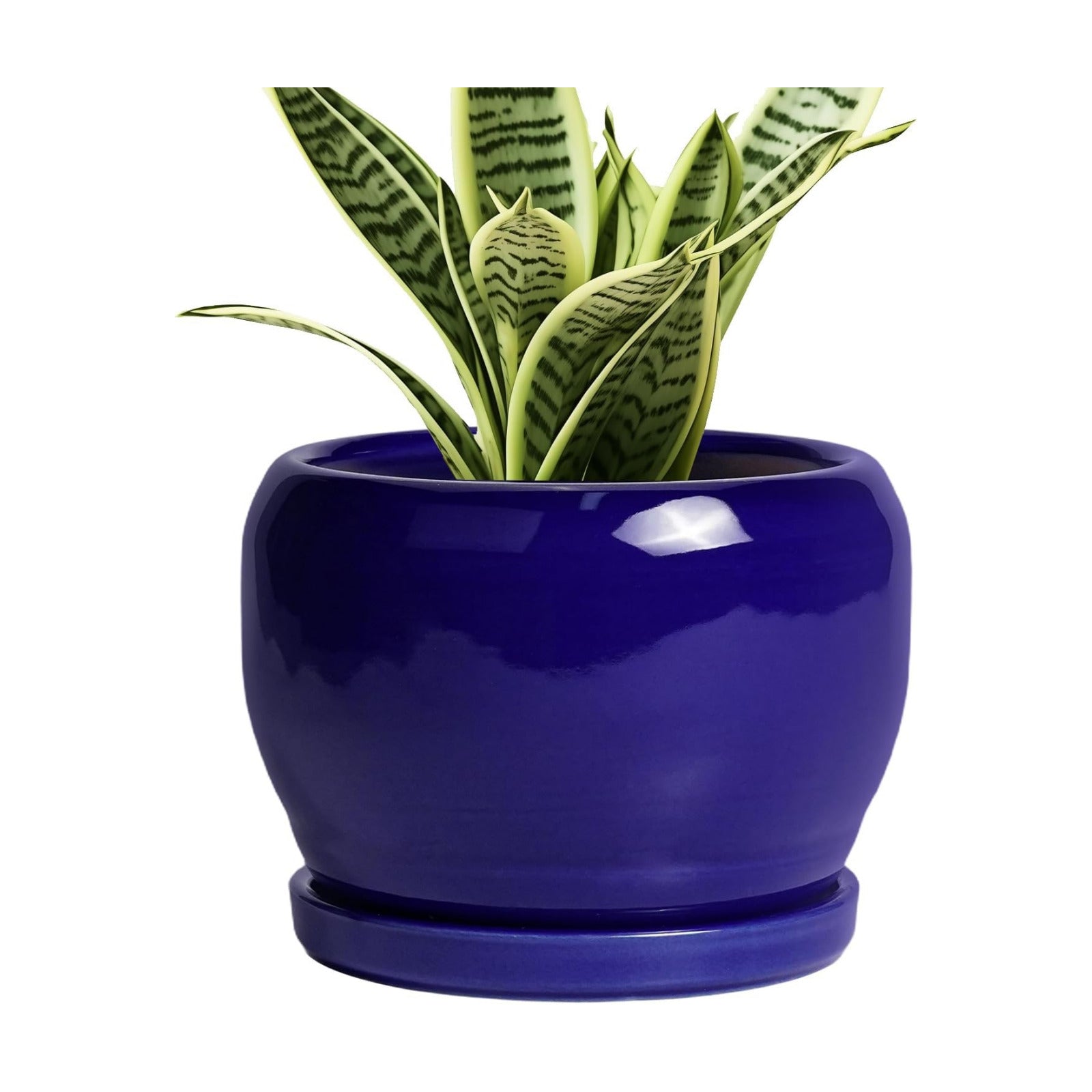 SQOWL Ceramic Planters for Indoor Plants - 6 Inch Plant Pot with Drainage Hole and Saucer, Round Small Planter, Modern