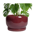 SQOWL Ceramic Pot for Plants - 10 Inch Indoor Planter with Drainage Hole and Saucer, Round Modern Planter Outdoor