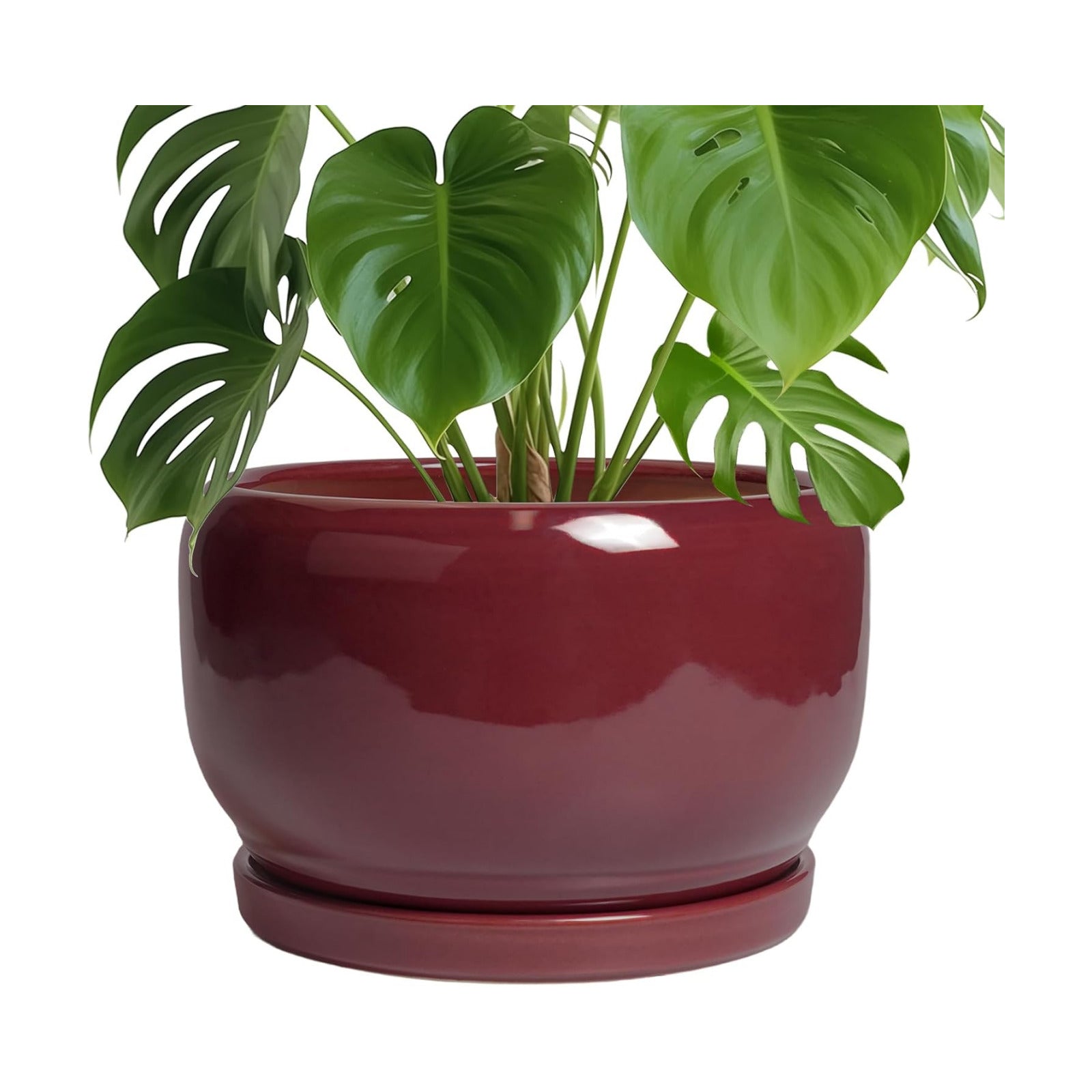 SQOWL Ceramic Pot for Plants - 10 Inch Indoor Planter with Drainage Hole and Saucer, Round Modern Planter Outdoor
