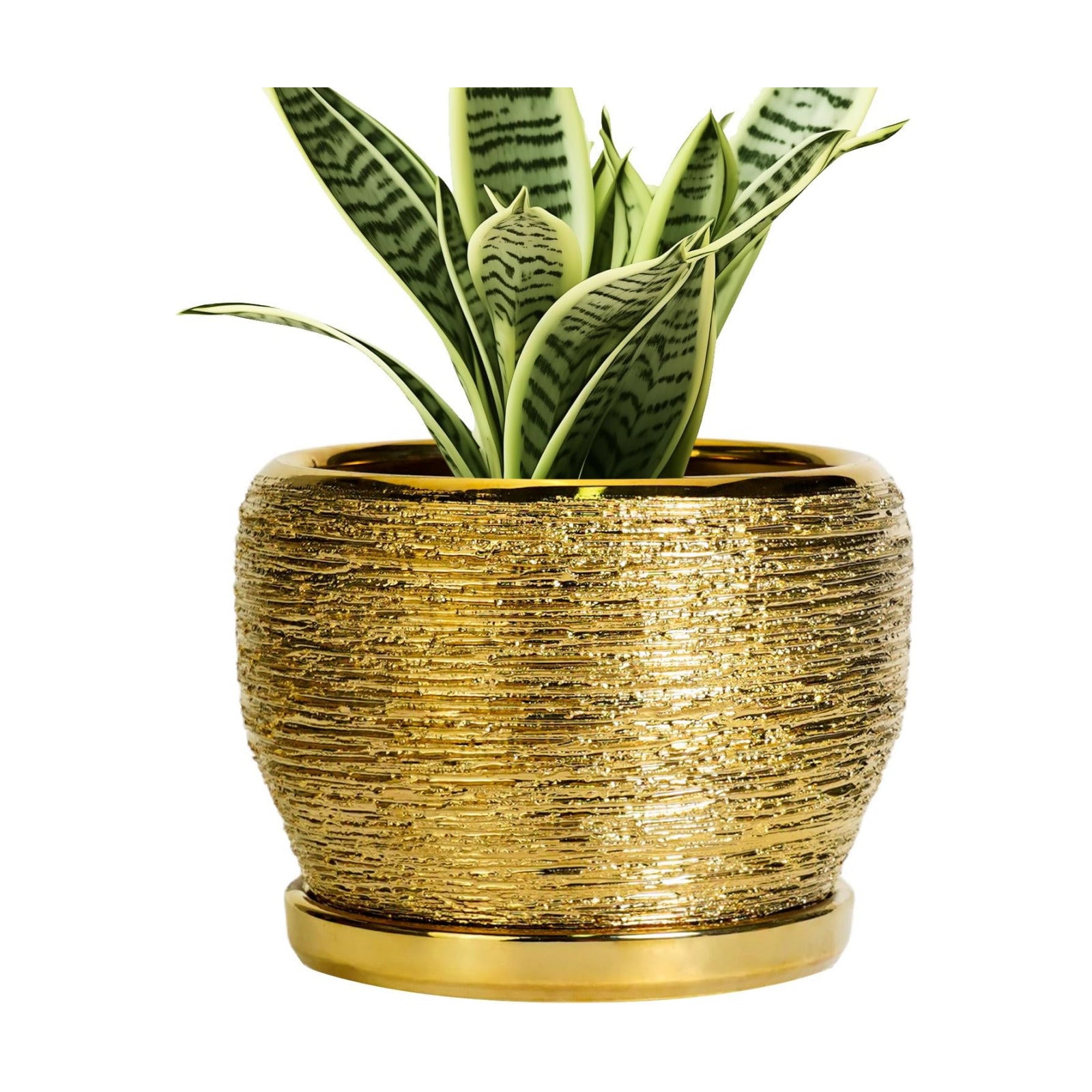 SQOWL Ceramic Planter - 6 Inch Plant Pot Indoor Outdoor, Modern Round Planter with Drainage Hole and Plant Saucer