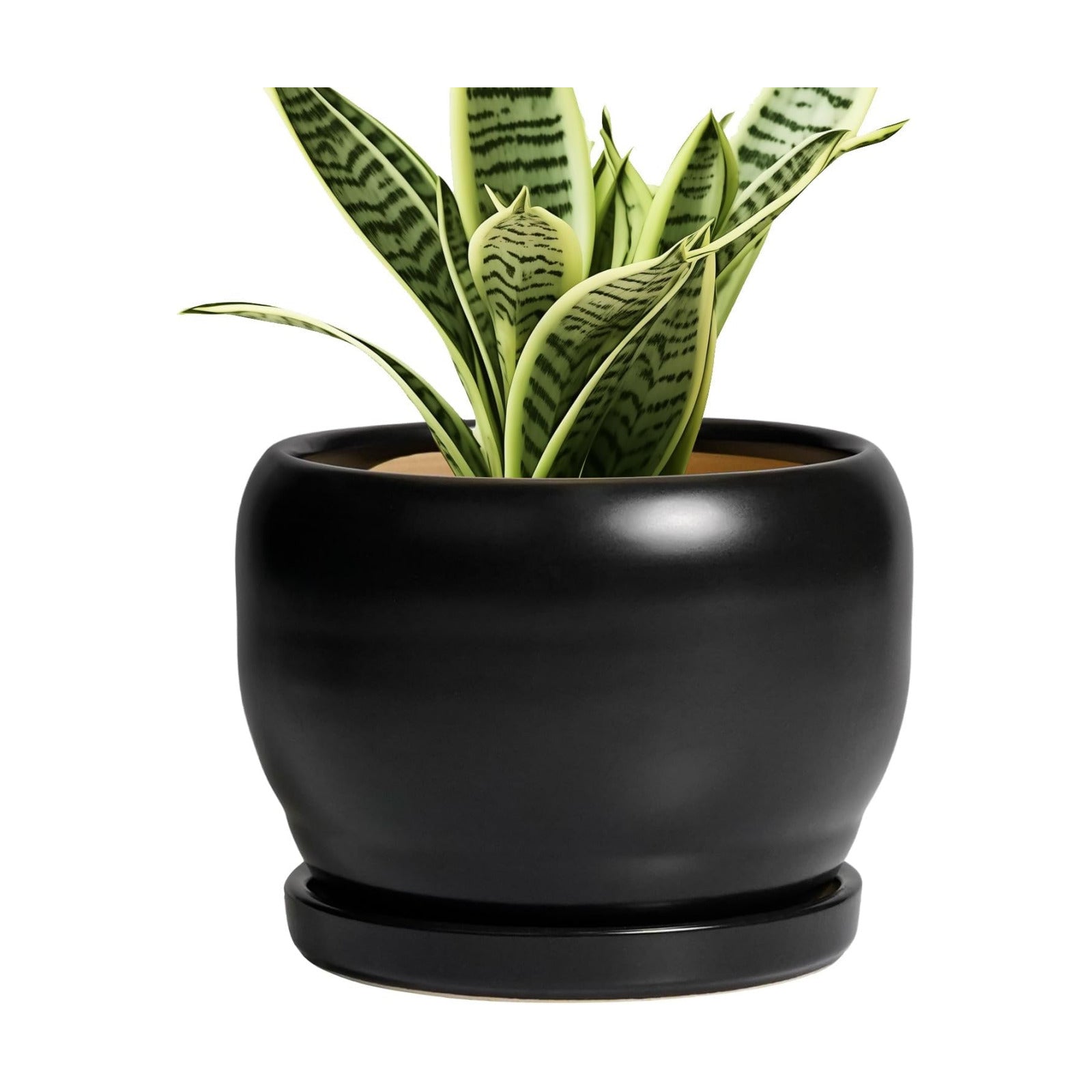 SQOWL Ceramic Plant Pot - 6 Inch Planter for Indoor Plants, Round Flower Pot with Drainage Hole and Saucer, Modern