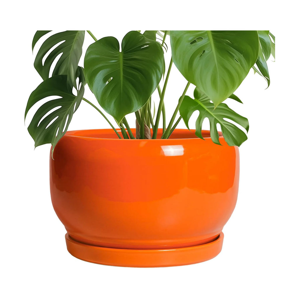 SQOWL Ceramic Planter - 10 Inch Plant Pot with Drainage Hole and Saucer, Round Modern Planter for Indoor Outdoor