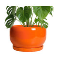 SQOWL Ceramic Planter - 10 Inch Plant Pot with Drainage Hole and Saucer, Round Modern Planter for Indoor Outdoor