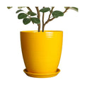 10 Inch Plant Pot - Ceramic Pot for Plants Outdoor Planter for Indoor Plants Large Plant Pot with Drainage Hole and Saucer Round Flower Pot for Home Patio Office Yellow