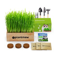 Cat Grass Kit for Indoor Cats - 3 Pack with Cat Grass Seeds, Nutrient Soil & Planter Pots | Complete Growing Set for