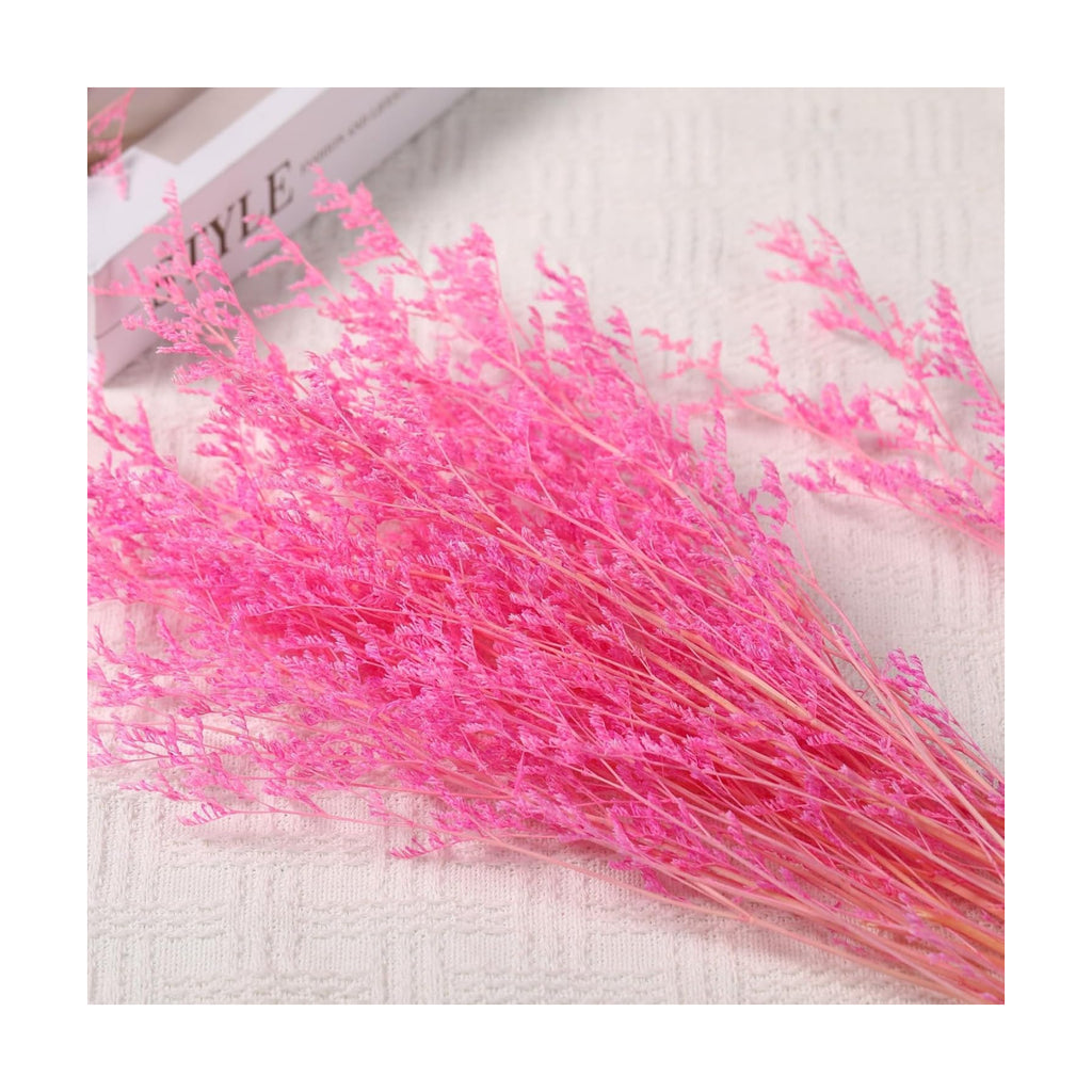 Dried Flower Bouquet, 17'' Dry Pink Caspia Flowers Bundle for Vase Decor