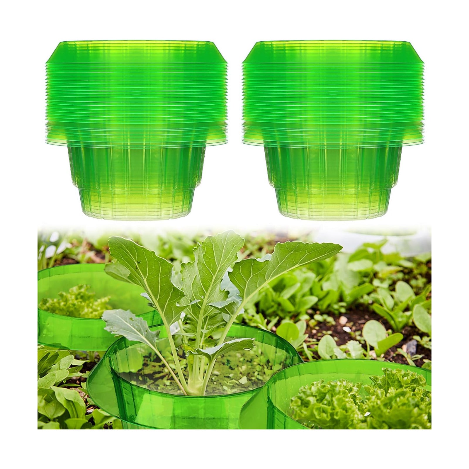 Cinnvoice 25 Pack Slug Snail Plant Collars, Plastic Garden Cloches, Slug Snail Defense Tool Collar for Outdoor Indoor