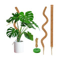 2 Pack Moss Pole, 63-Inch Moss Poles for Plants Monstera,Bendable Plant Support Stakes for Climbing Plants Indoor, Garden Trellis Plant Stick for Potted Plants, Pothos Philodendron