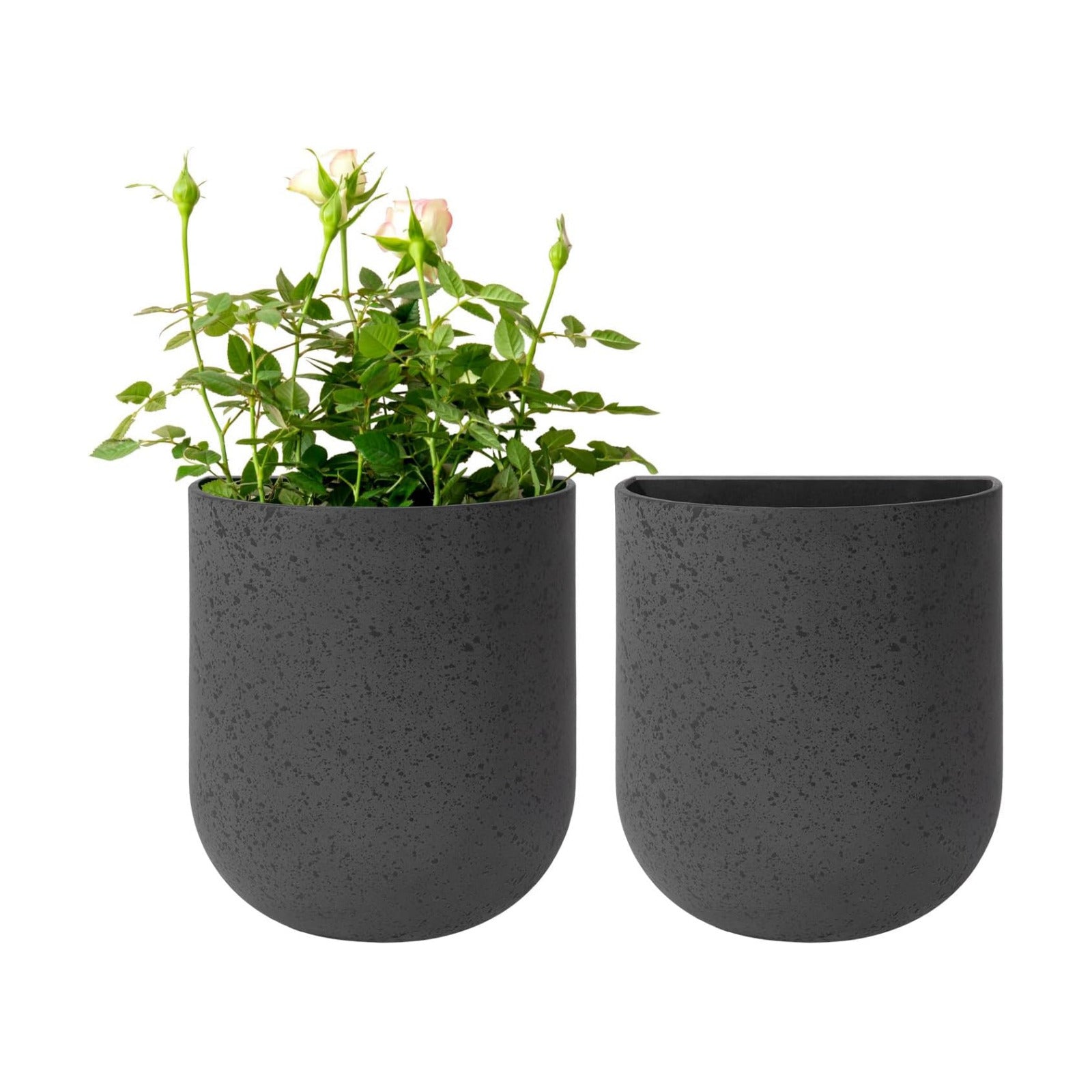 LA Jolie Muse Wall Hanging Planters for Indoor Plants，Hanging Flower Pots for Air Plants Succulent, Set of 2