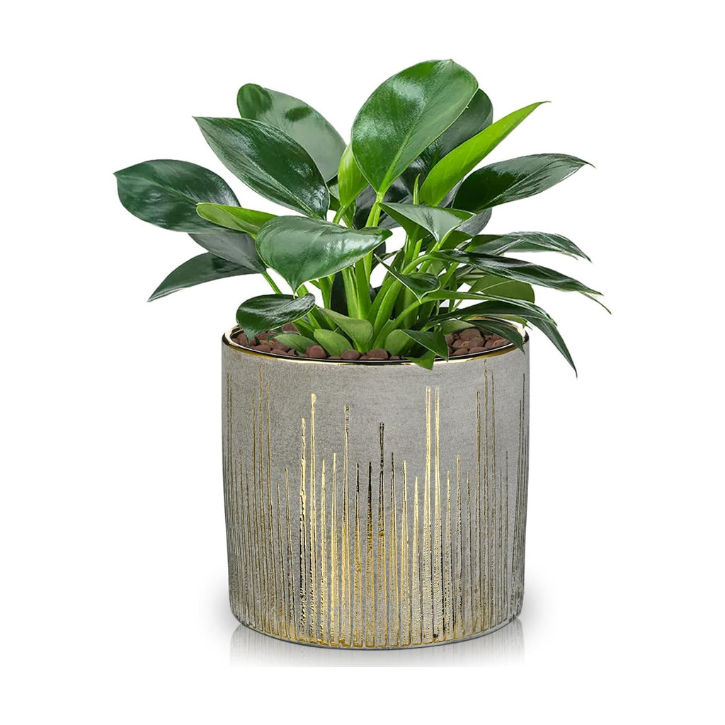Oairse Small Ceramic Pot for Indoor Plants, 5.3 inch Plant Pot with Drainage Hole Decorative Texture Gold Planter