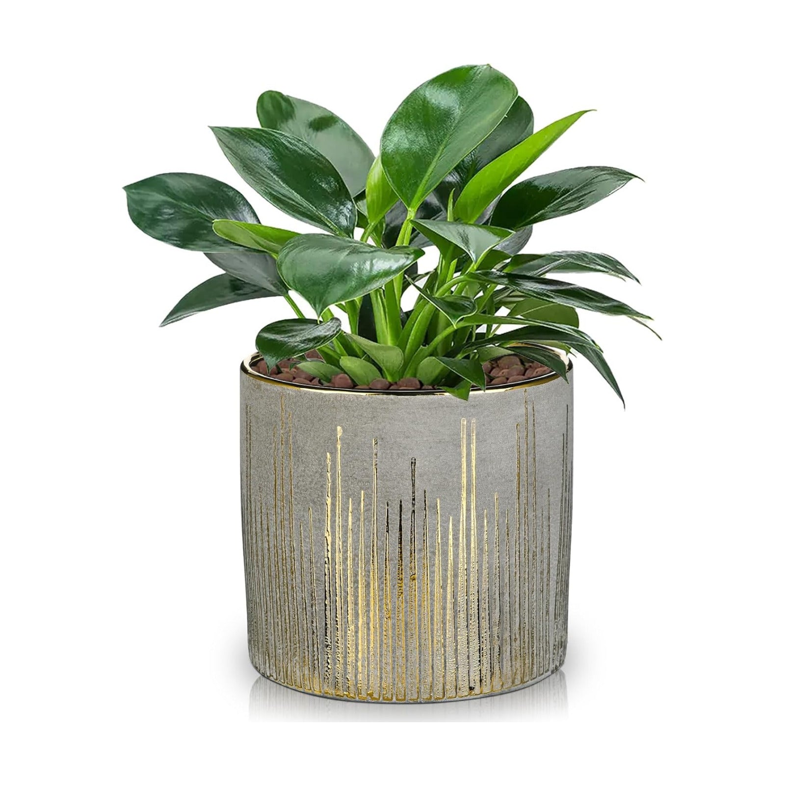 Oairse Small Ceramic Pot for Indoor Plants, 5.3 inch Plant Pot with Drainage Hole Decorative Texture Gold Planter