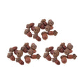 30 Pcs Natural Dried Acorn, Small Acorns Ornaments Vase Fillers for DIY Crafts, Christmas Thanksgiving Decorative House Fall Winter Holiday Home Decor