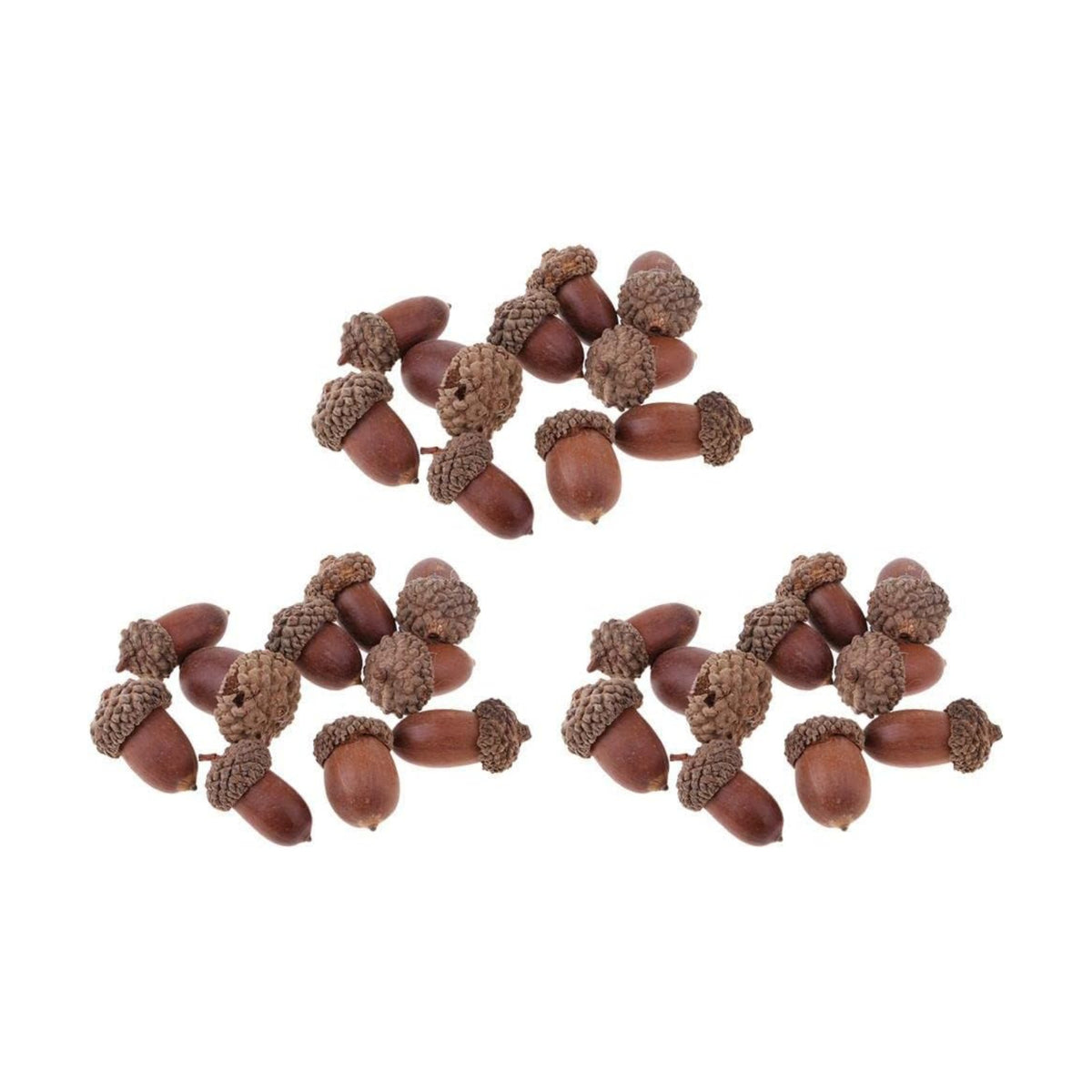 30 Pcs Natural Dried Acorn, Small Acorns Ornaments Vase Fillers for DIY Crafts, Christmas Thanksgiving Decorative House Fall Winter Holiday Home Decor
