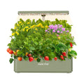 Hydroponics Growing System, Compact 12 Pods Indoor Garden, Green | 24W LED Dimmable Grow Light, 4L Water Tank with