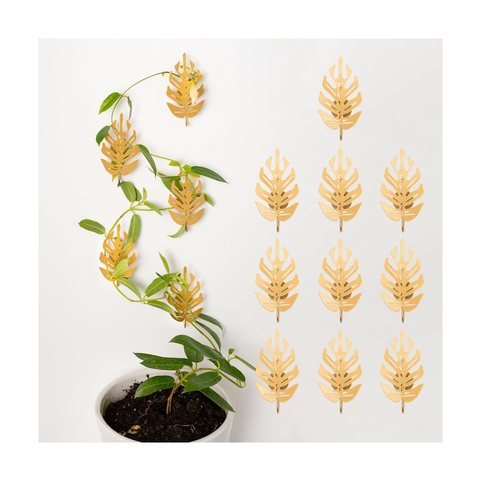 5Pcs Plant Hooks for Vines - Indoor Climbing Plants SupporWall Hooks | Cute leaf shape - Climber Plant Clips for Money