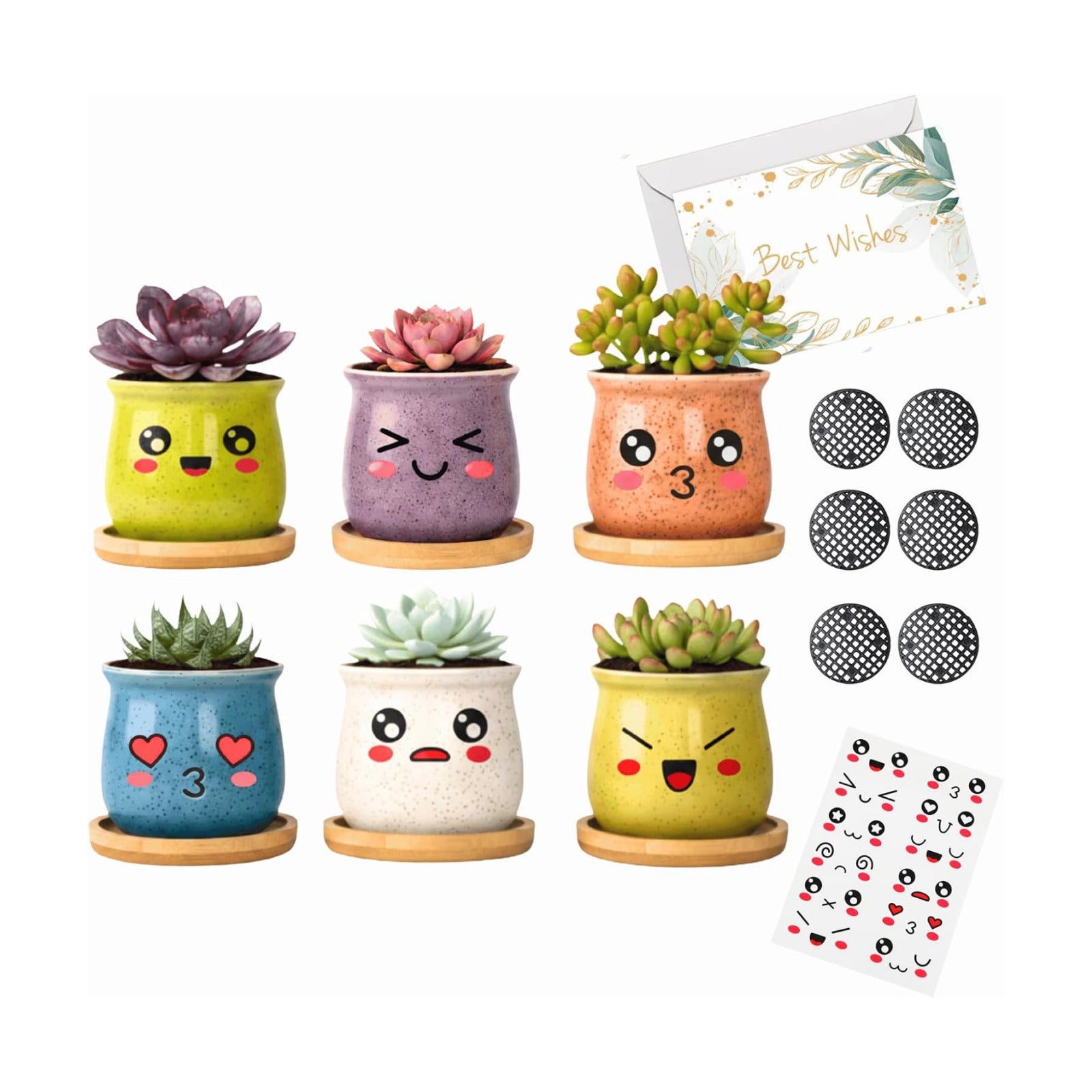 6-Pack 3 Inch Ceramic Succulent Pots with Bamboo Tray for Home Decor | Includes decorative stickers and cards creating
