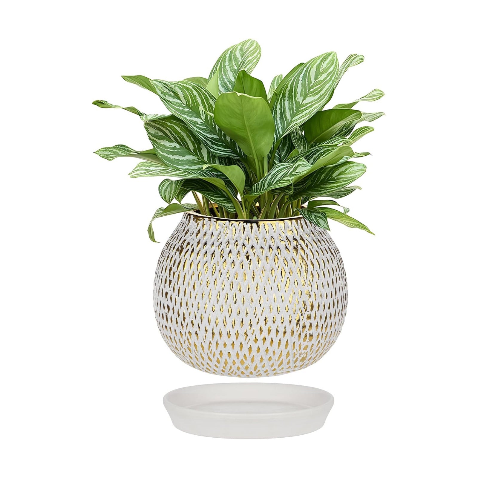 Ceramic Plant Pots for Plants Indoor 6.1 Inch Round Gold and White Flower Pot Gilded Decorative Planter with Drainage