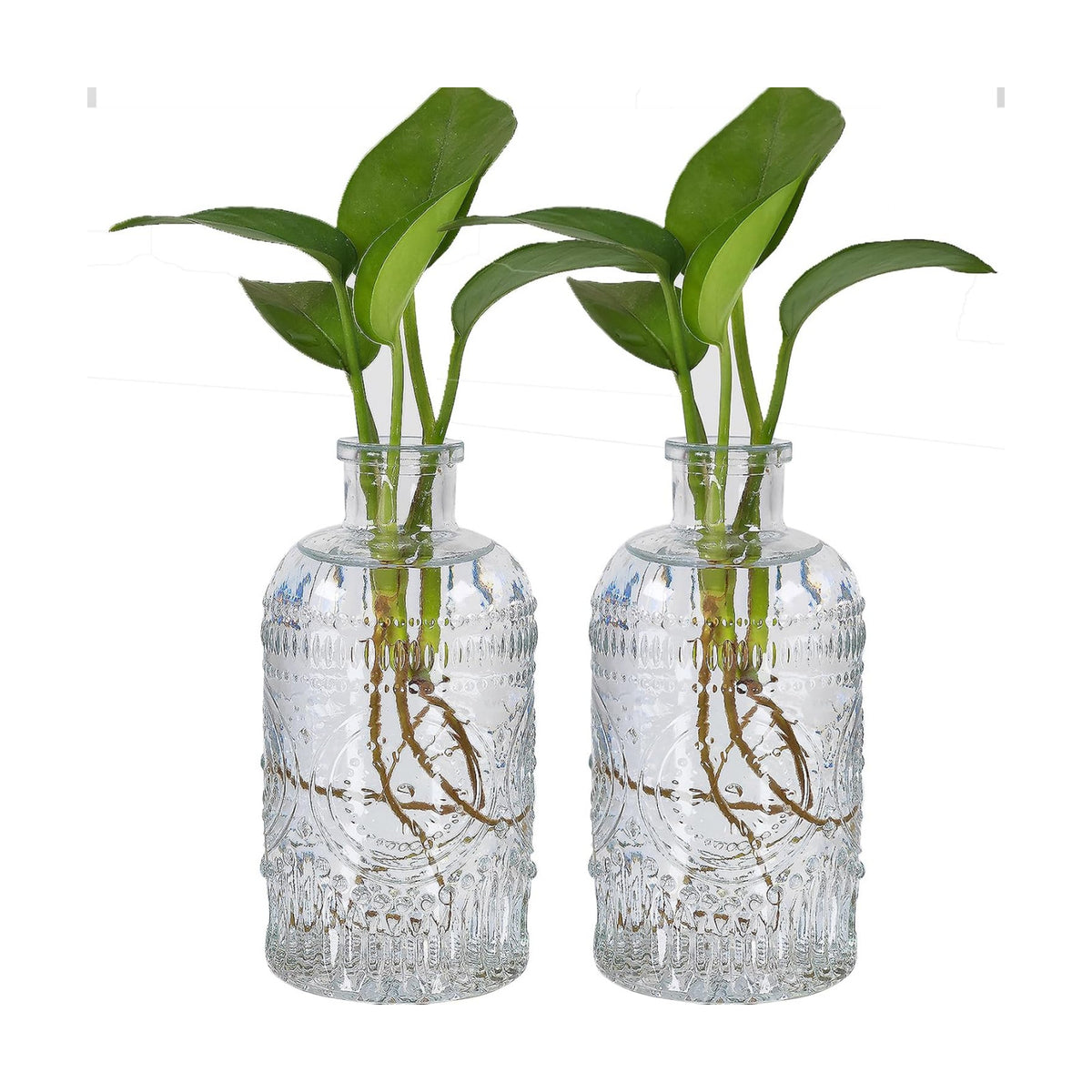 TIWPAJS 2Pcs Propagation Vases for Plants, Bud Vases, Small Glass Vase for Flowers, Home and Table Decor, Shelf, Desk, and Office