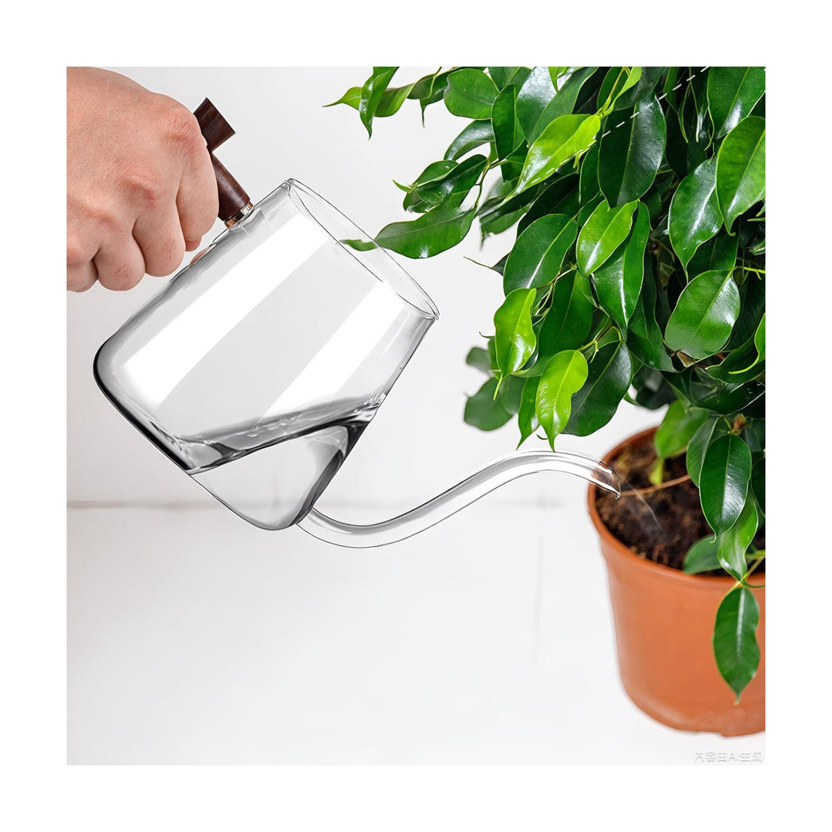 Watering Can Indoor Plants, 27 OZ Glass Watering Can, Long Curved Spout