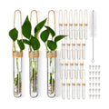 24 Pack Plastic Hanging Propagation Tubes Propagation Station Vases Wall Hanging Plant Vase for Planters Hydroponic