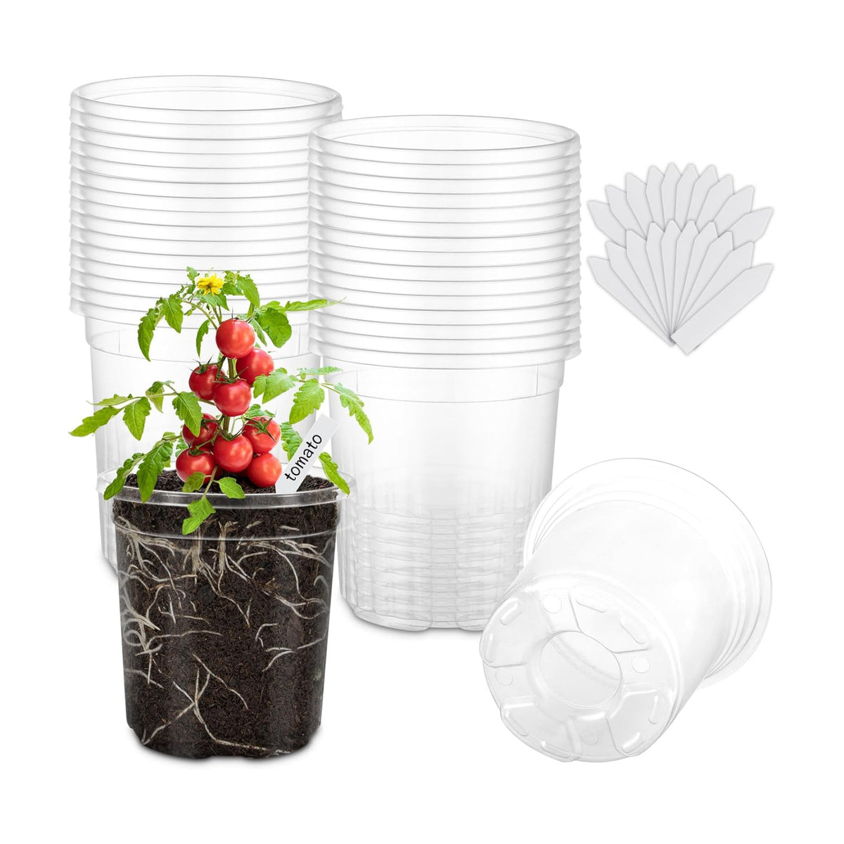 30 Pack Clear Nursery Plant Pots, 5 Inch with Drainage Holes, 20 Labels
