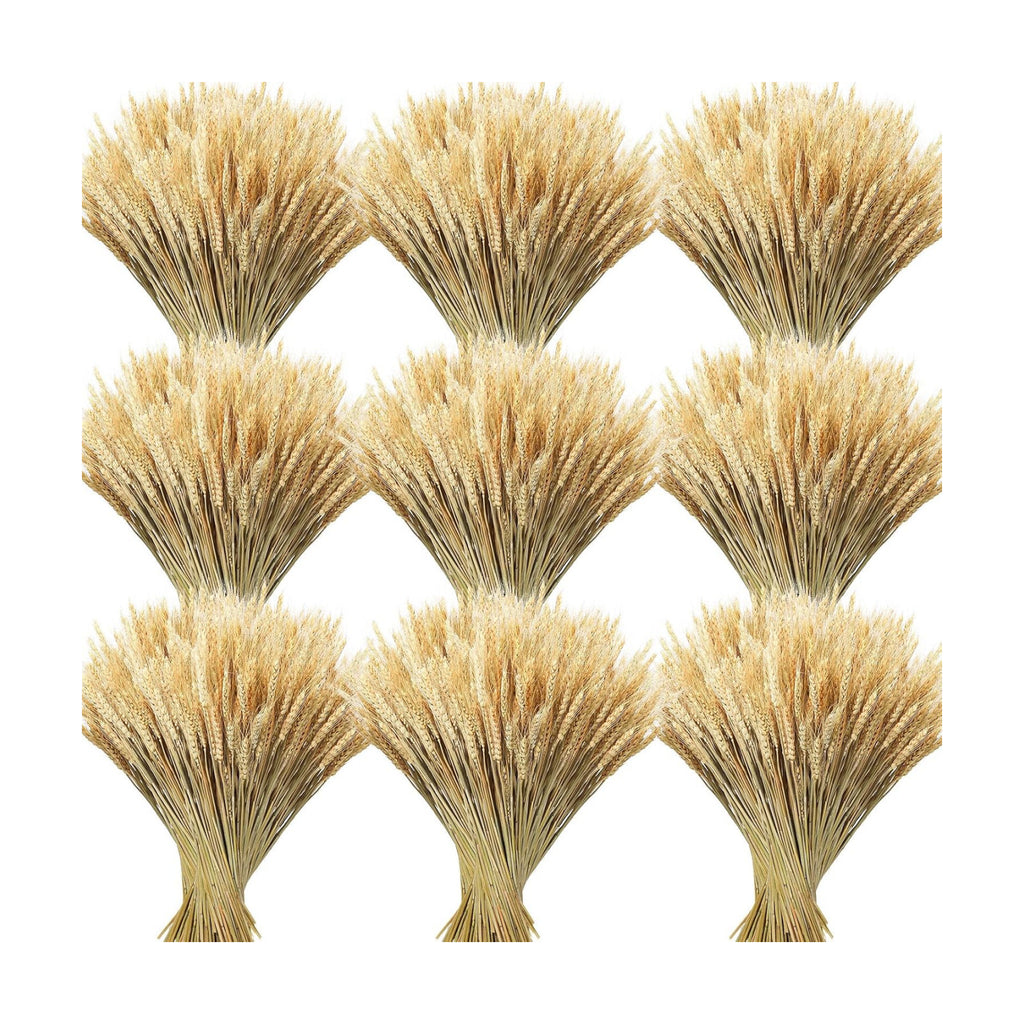 Geosar 800 Stems Dried Wheat Stalks for Decor Natural Wheat Grass Sheaves Bundle Farmhouse Artificial Flowers Arrangement for DIY Wedding Table Home Centerpieces Party Decorative (16 Inch)