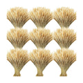 Geosar 800 Stems Dried Wheat Stalks for Decor Natural Wheat Grass Sheaves Bundle Farmhouse Artificial Flowers Arrangement for DIY Wedding Table Home Centerpieces Party Decorative (16 Inch)