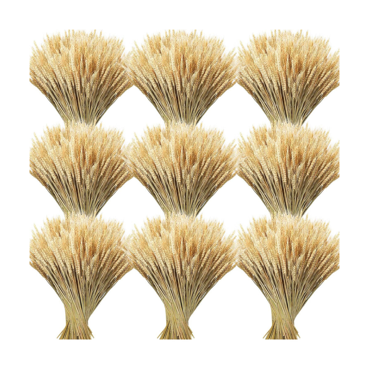 Geosar 800 Stems Dried Wheat Stalks for Decor Natural Wheat Grass Sheaves Bundle Farmhouse Artificial Flowers Arrangement for DIY Wedding Table Home Centerpieces Party Decorative (16 Inch)