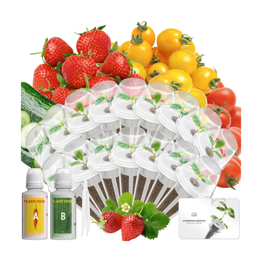 LYKOCLEAN Herb Seed Pod Kit Compatible with AeroGarden Hydroponics Growing System, Complete Indoor Gardening Supply