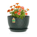 WSMKSZ 12 Inch Wide Water Ripples Flower Pots for Indoor or Outdoor Plants, Large Plant Pots with Drainage Holes & Saucer, Plastic Planters Set for Garden & Home Decor (Black with Green Speckles)