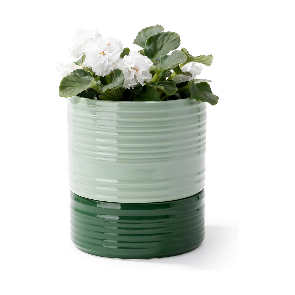Fayoula Self Watering Pots for Indoor Plants, 6 Inch Ceramic Self Watering Plant Pot, Planter Pot with Wick Rope and
