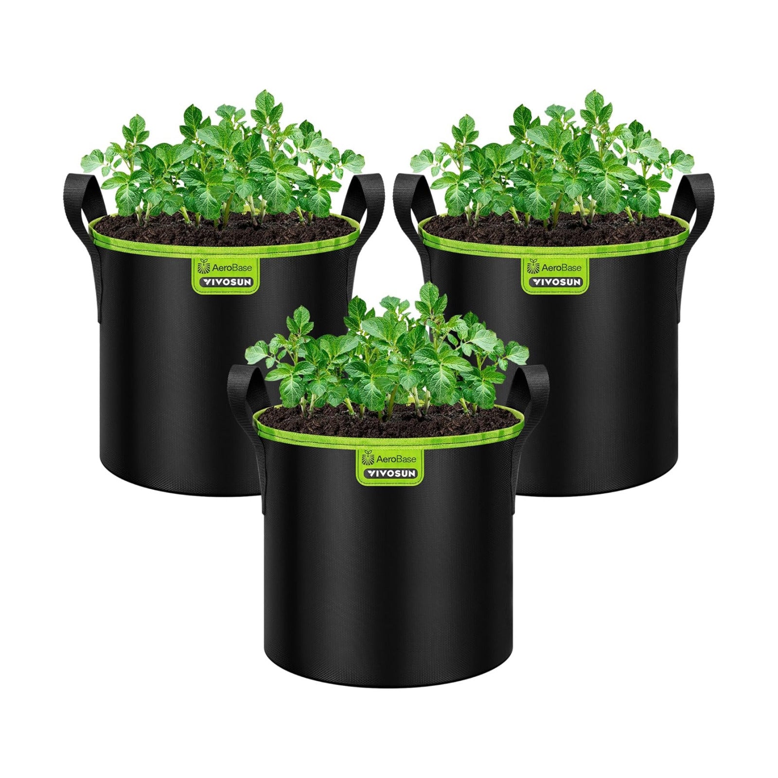 VIVOSUN 3-Pack 3-Gallon AeroBase Grow Bags, Durable Mesh Fabric Plant Container with Breathable Base and Sturdy