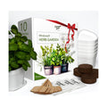 10 Herb Indoor Window Herb Garden - Includes Pots, Trays, and Compressed Soil for Easy Indoor Herb Growing - Perfect