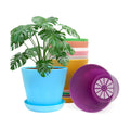 6.7 Inch Plant Pots Indoor Outdoor, 8 Pack Colorful Plant Flower Pots with Drainage Holes and Saucers Plastic Planters