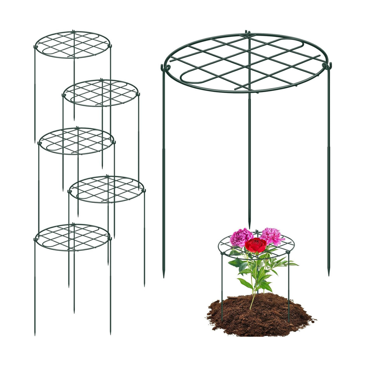 6 Pack 16 x 24 Inch Peony Cages and Supports for Outdoor Plants