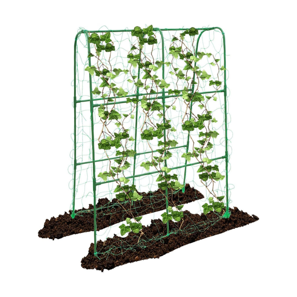 Compact U-Shaped Plant Trellis for Peas, Beans & Light Climbing Plants - Rust-Resistant, Foldable Design, Lightweight