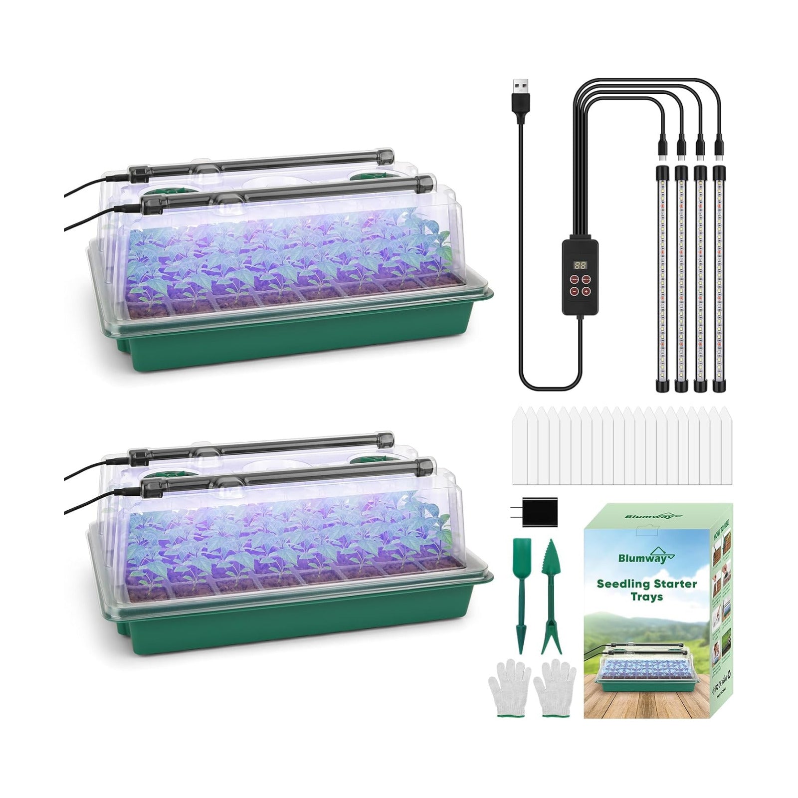 Seed Starter Tray with Grow Light, 1-24H Timer, 2 Pack 80 Cells | Smart Timer, Adjustable Brightness, Seedling Starter