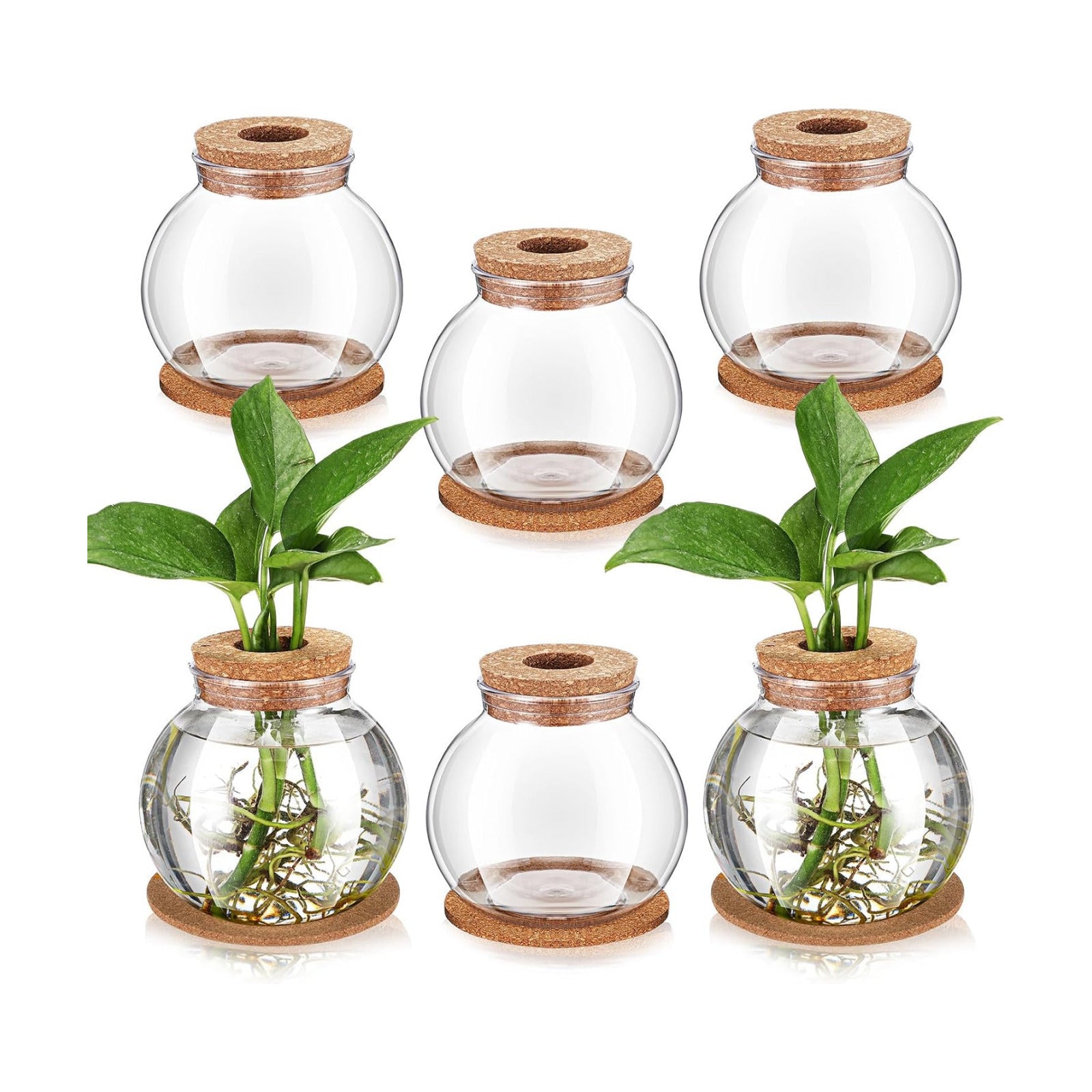 6 Packs Propagation Vases for Plants Plastic Plant Propagation Station with Hole Lid and Cork Coasters Plant Growing in