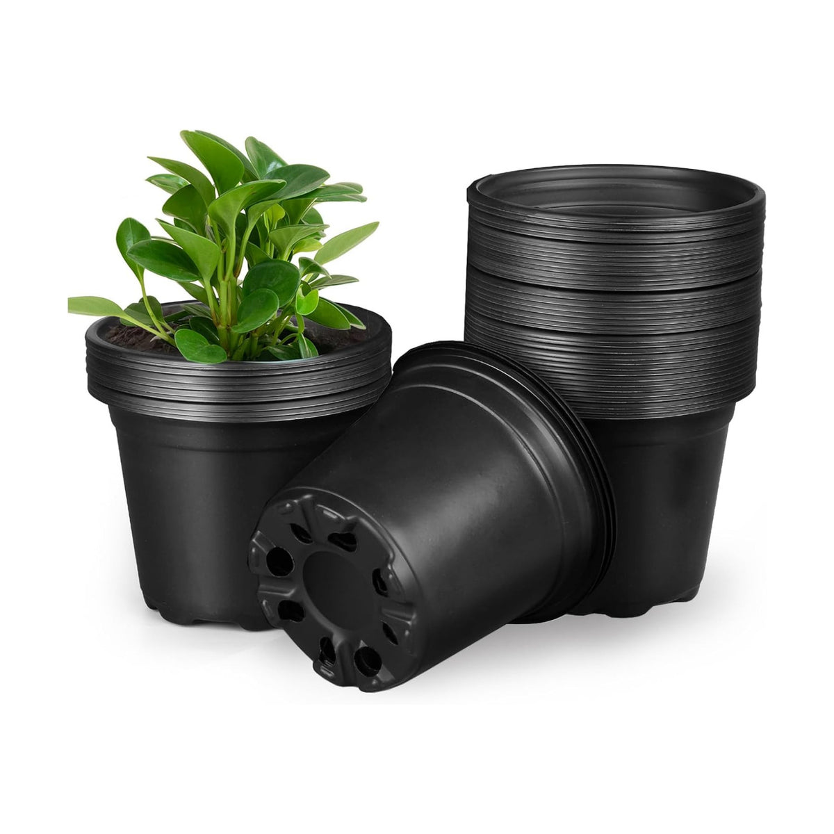 3 4 5 6 Inch Nursery Pots, Plastic Plant Pot with Drainage Hole, Seedling Starter Pots for Succulents (3 Inch-50 Packs)