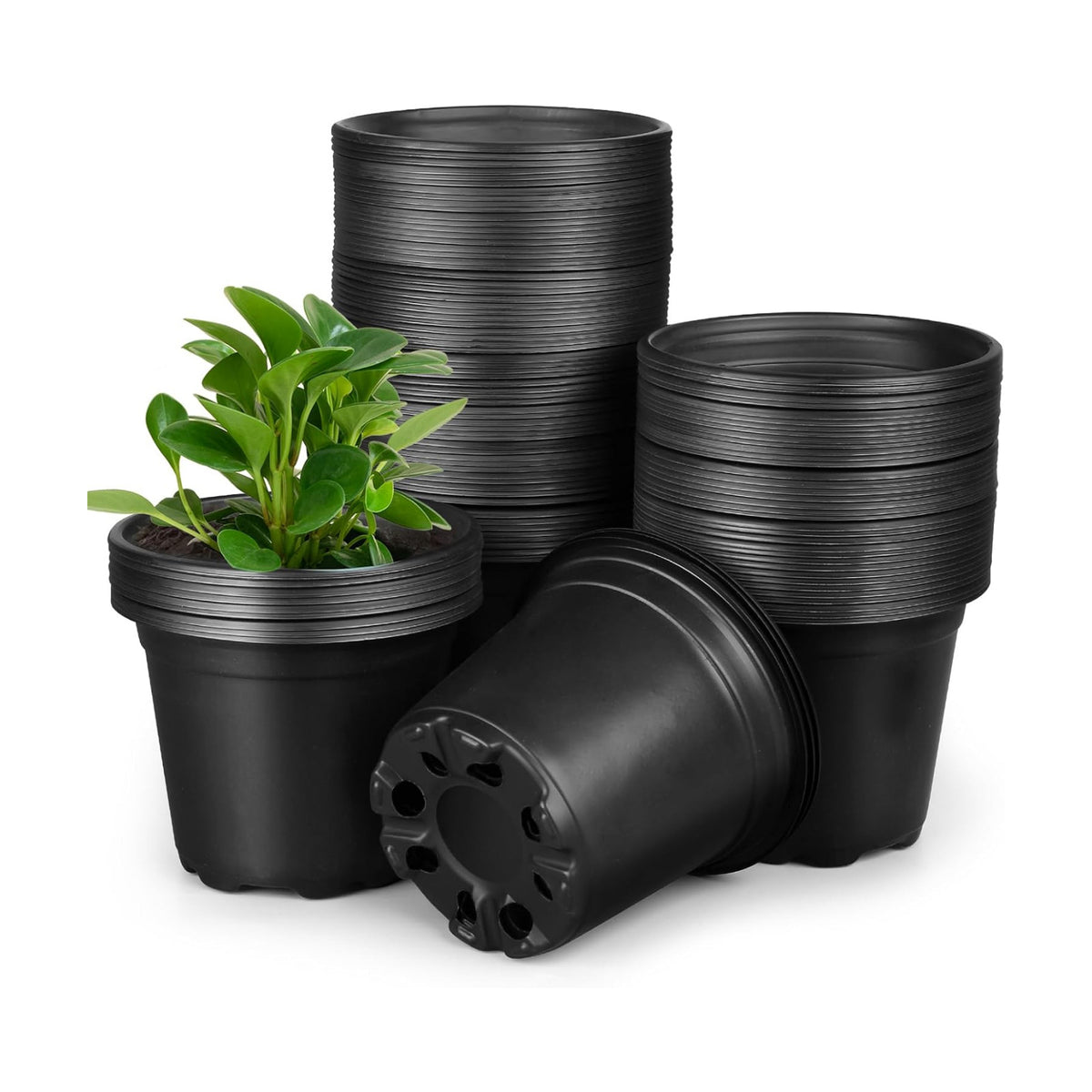 4 5 6 Inch Nursery Pots, 110 Packs Plastic Plant Pot with Drainage Hole, Seedling Starter Pots for Succulents (4 Inch)