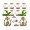 12 Packs Propagation Vases for Plants Plastic Plant Propagation Station with Hole Lid and Cork Coasters Plant Growing