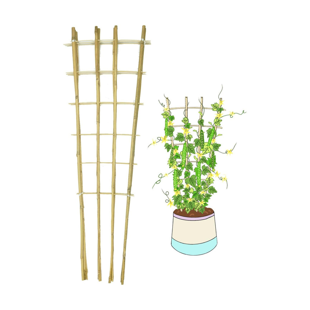 Natural Bamboo Trellis, 4Feet,3Pack,Fan-Shaped Plant Support Trellis for Outdoor and Indoor Potted Climbing