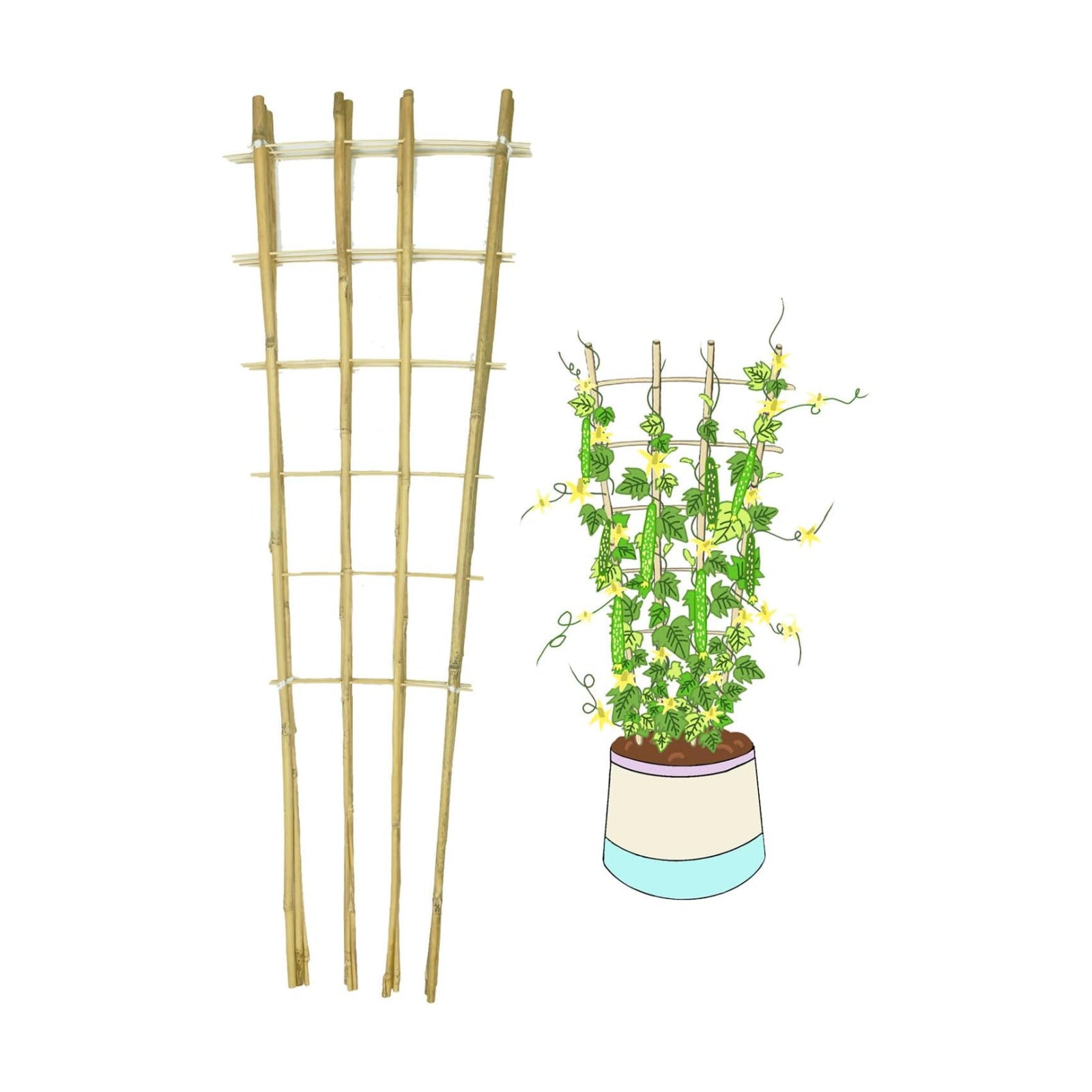 Natural Bamboo Trellis, 4Feet,3Pack,Fan-Shaped Plant Support Trellis for Outdoor and Indoor Potted Climbing