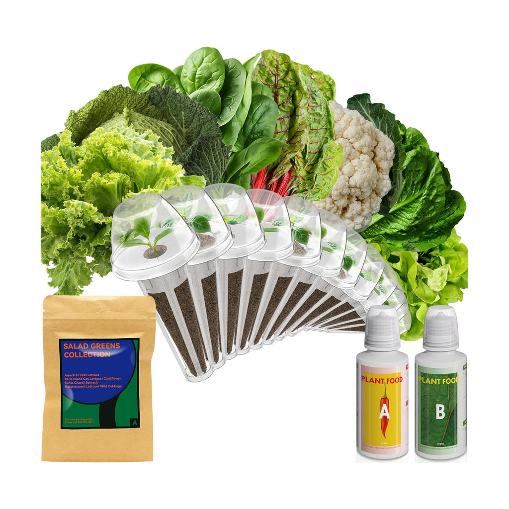 inbloom Salad Green Seed Pod Kit for AeroGarden, Ahopegarden, GARDENCUBE, MUFGA, 12 Pods (350+ Seeds with American