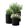 Keter Cylinder Set of 3 Rattan Resin Planter for Indoor and Outdoor Plants Ideal Decorative Planter for Porches and