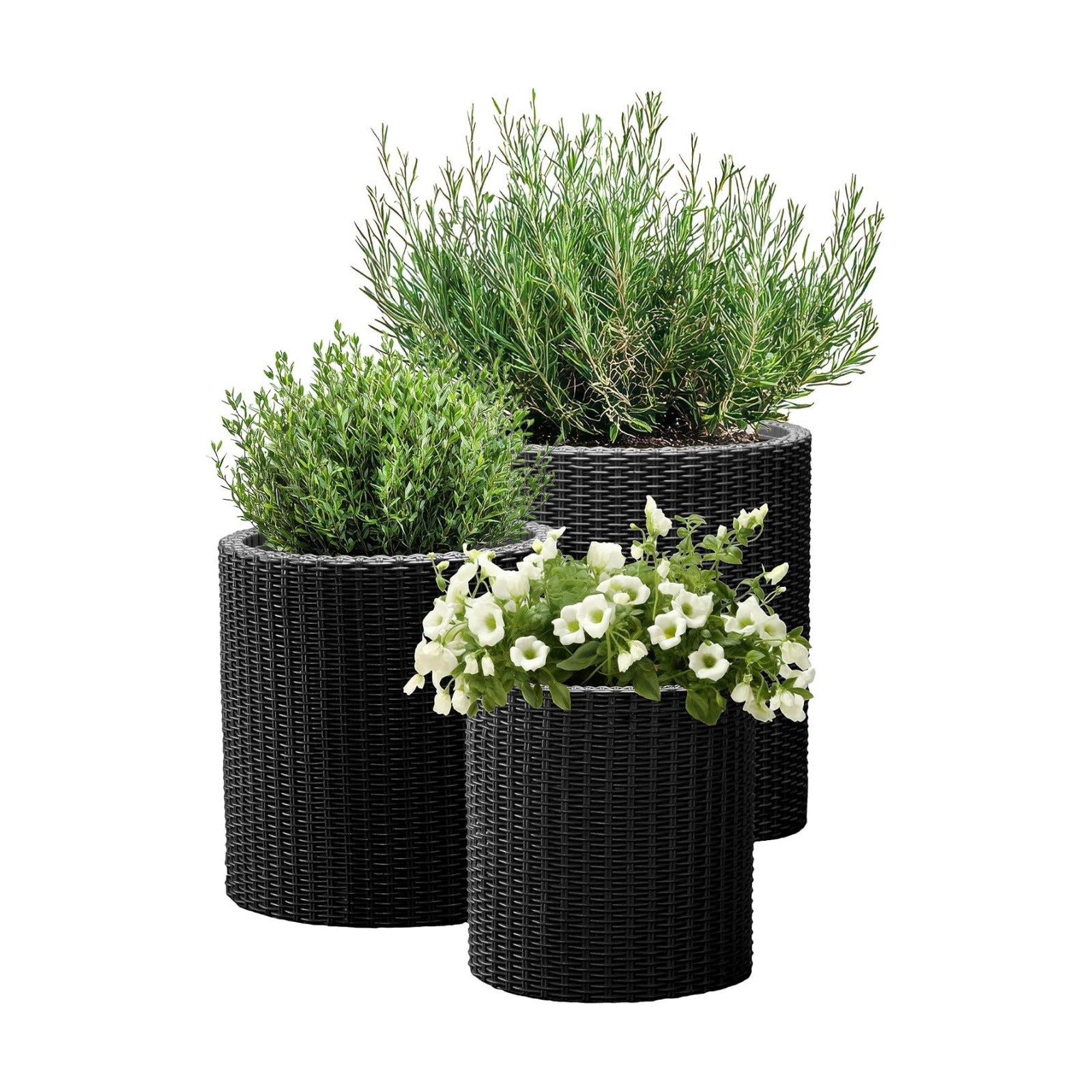 Keter Cylinder Set of 3 Rattan Resin Planter for Indoor and Outdoor Plants Ideal Decorative Planter for Porches and