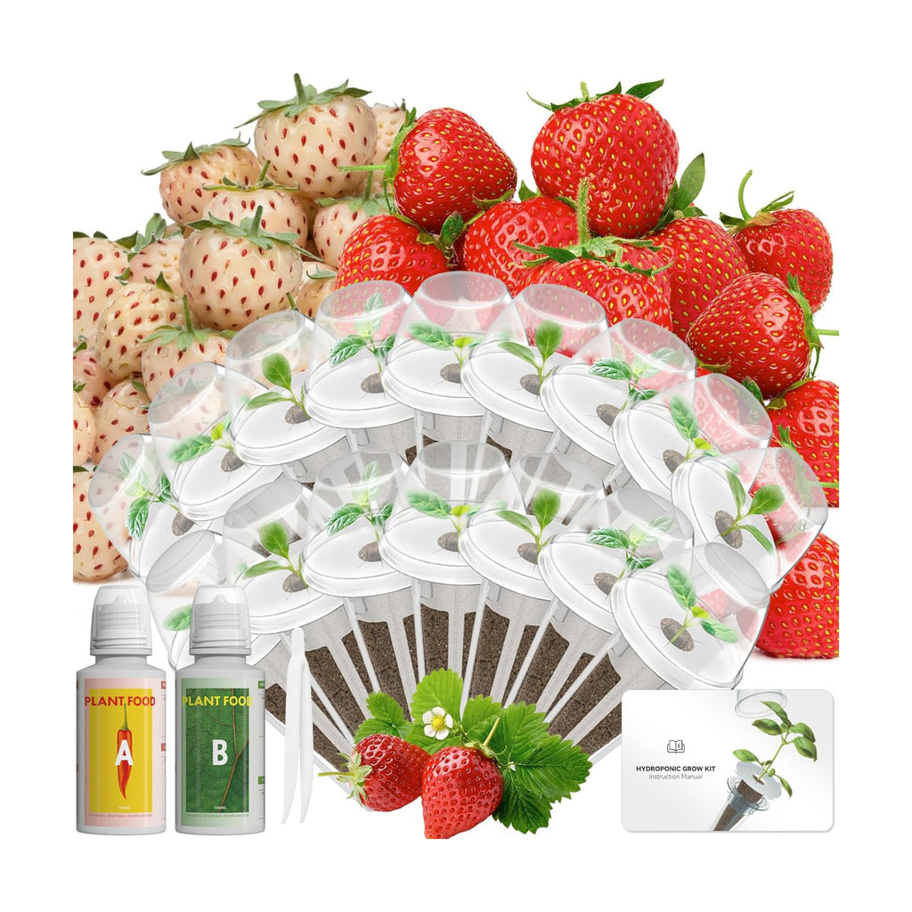 LYKOCLEAN Herb Seed Pod Kit Compatible with AeroGarden Hydroponics Growing System, Complete Indoor Gardening Supply